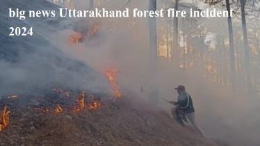 big news Uttarakhand forest fire incident 2024