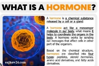 what are hormones : हार्मोन्स रात को क्या-क्या करते है जानिए सही जानकरी 1 Hormones क्या ?