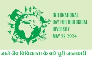 अंतर्राष्ट्रीय जैव विविधता दिवस जाने कब और क्यों मनाया जाता है