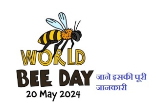 World Bee Day 2024