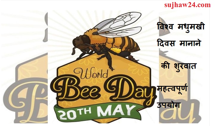 World Bee Day 2024