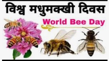 world honey bee day