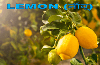 benefits of lemon water : नींबू पानी के फायदे देखिये यह कैसे गर्मी में आपके पेट की गर्मी को भगाता है 2 lemon, about lemon, benefits of lemon, benefits of lemon water