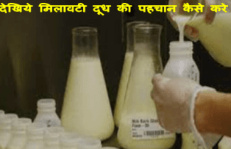 adulteration in milk