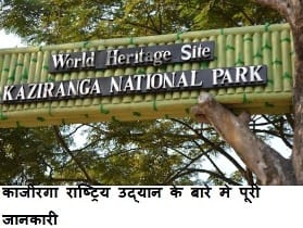  About Kanjiranga National Park