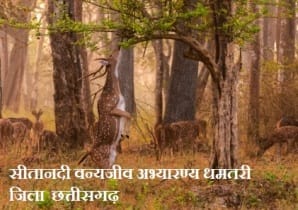 Sitanadi Wildlife Sanctuary : क्या आप जानते है सीतानदी वन्यजीव अभ्यारन्य के बारे में 1 सीतानदी वन्यजीव अभ्यारण्य छत्तीसगढ़