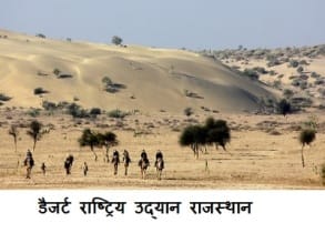 Desert National Park : डैजर्ट राष्ट्रिय उद्यान के बारे में पूरी जानकारी देखे यहाँ 1 डैजर्ट राष्ट्रिय उद्यान जैसलमेर , राजस्थान