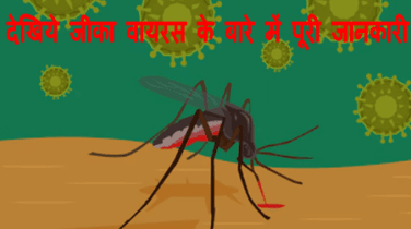 जीका वायरस , symptoms of zika virus, about zika virus