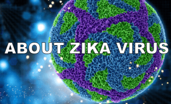 about zika virus : जीका वायरस जानिए इसके लक्षण, कारण और इलाज के बारे में पूरी जानकारी 1 about zika virus