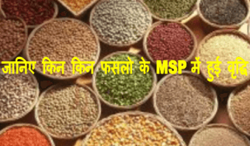 minimum support price, increase in msp , MSP, about msp, minimum support price, incrasing in msp