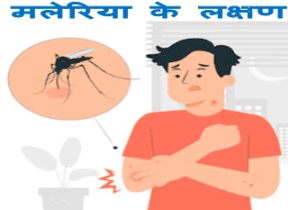 malaria and diarrhea : देखिये मलेरिया और डायरिया का प्रकोप कितना बढ़ रहा है जाने लक्षण और इसके बारे में 1 मलेरिया के लक्षण, मलेरिया और डायरिया , malaria and diarrhea