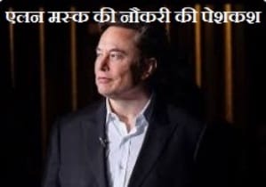 Elon Musk Jop Offer 2024