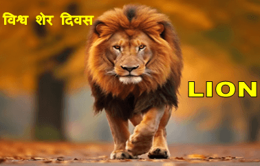 world lion day 2024 : जानिए विश्व शेर दिवस 2024 के मौके पर शेर के बारे में 1 world lion day 2024