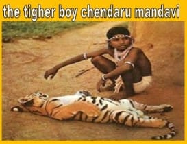 the tiger boy chandru mandavi