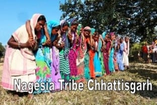 nagesia tribe chhattisgarh : नागेशिया जनजाति छत्तीसगढ़ के बारे में पूरी जानकरी 1 nageshia janjati