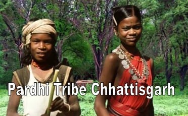 Pardhi Tribes Chhattisgarh : पारधी जनजाति छत्तीसगढ़ के बारे में प्रमुख जानकारी 1 Pardhi Tribes