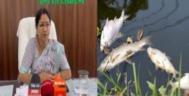 durg shaktinagar talab news : दुर्ग के शक्तिनगर तालाब में केमिकल के छिडकाव से लाखो मछलियों की मौत जानिए पूरी खबर 1 शक्तिनगर तालाब में केमिकल छिडकाव लाखो मछलियों की मौत