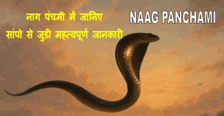 Naag Panchami know about snakes