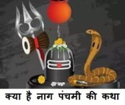 Nag Panchami 2025 : नाग पंचमी के दिन ऐसे करे पूजा नोट कर ले शुभ मुहूर्त क्या है 2 Nag Panchami 2025