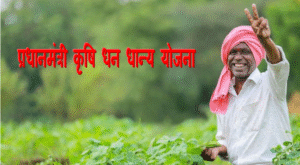 PM Dhan dhaanya Krishi yojana : देश के किसानो के हित के लिए और फसल उत्पादन को बढ़ावा देने प्रधानमंत्री धन धान्य कृषि योजना लाया गया जानिए इसके बारे में पूरी जानकारी 1 PM Dhan dhaanya Krishi yojana